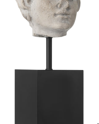 Venus Head on Stand Set of 2