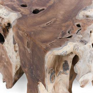 Cypress Root 40" Square Coffee Table Natural