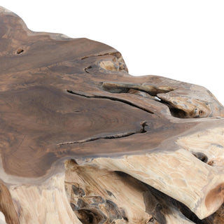 Cypress Root 40" Square Coffee Table Natural