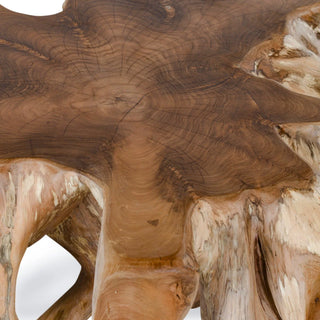 Cypress Root Coffee Table