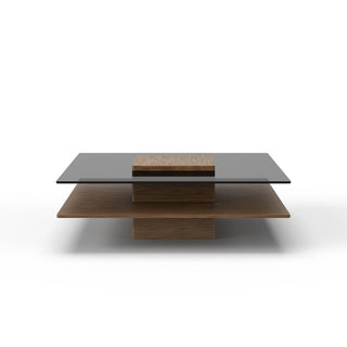 Modrest Clarion - Modern Walnut & Grey Glass Coffee Table