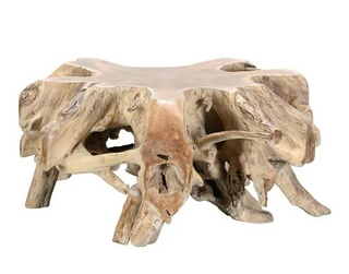Cypress Root Coffee Table