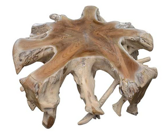 Cypress Root Coffee Table