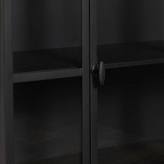 Lillo Metal/Glass Single Door Cabinet Black