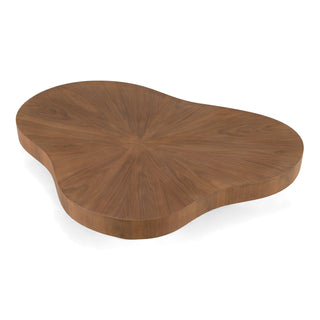 Modrest Larch - Modern Walnut Nesting Table Set
